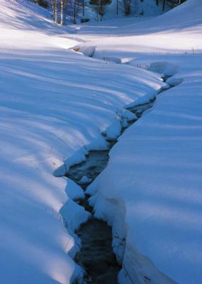 Snowey Brook