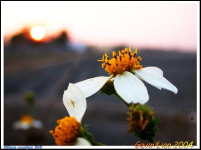 DSCN4944.jpg