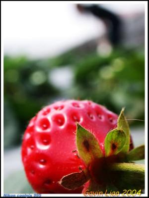 DSCN5317.jpg