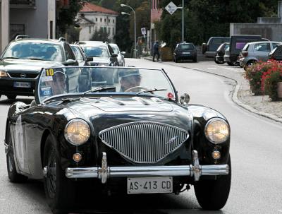 Healey