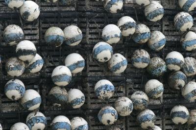 Stone Crab Pots