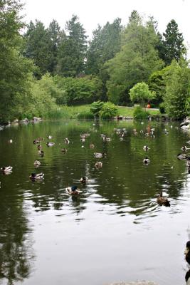 IMG_5224.jpg