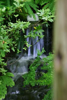 IMG_5548.jpg