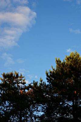 IMG_5625.jpg