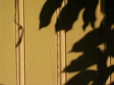 Attaque sur la porte du jardin