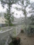 Raindrops on the Patio