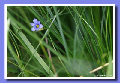 CRW_1148.jpg