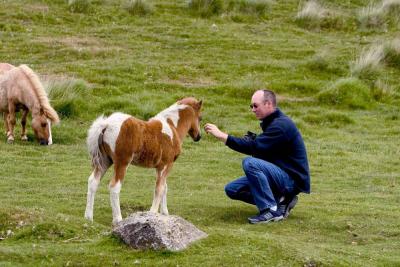 Across Dartmoor 9x.jpg