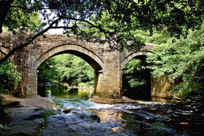 Across Dartmoor 18x.jpg