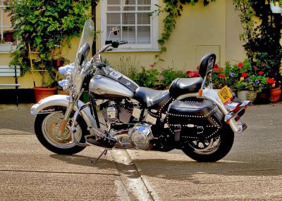 Harlley Davidson 1x.jpg