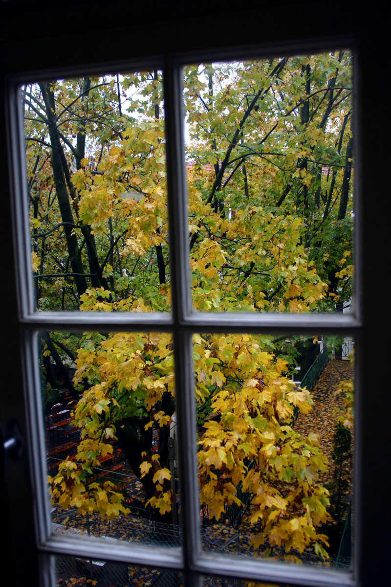 autumn
