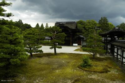 copy_DSC0945.jpg