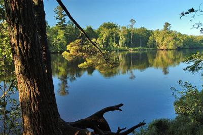 Morning on the St. Croix River