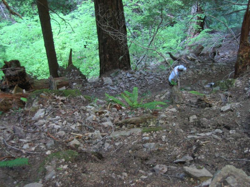 Charlie climbing the switchbacks up to the Palisades