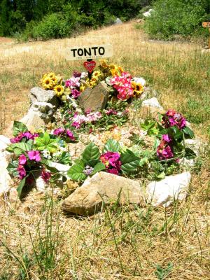 Tonto's grave at Michigan Bluff