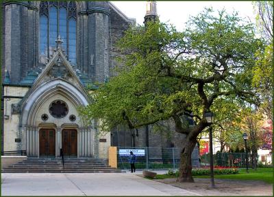 Tree Outside Church