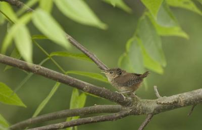 crw_4856.jpg