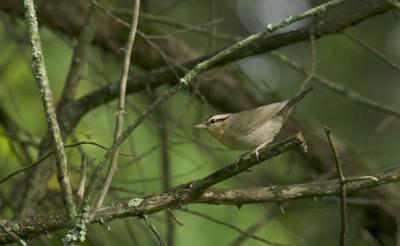 crw_4961.jpg