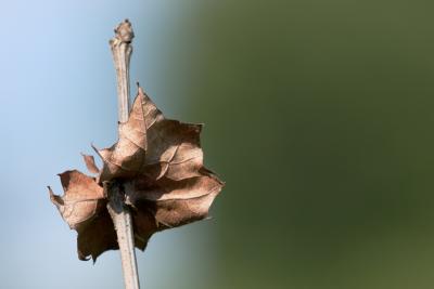 crw_5403.jpg