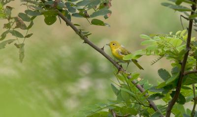 crw_5542.jpg