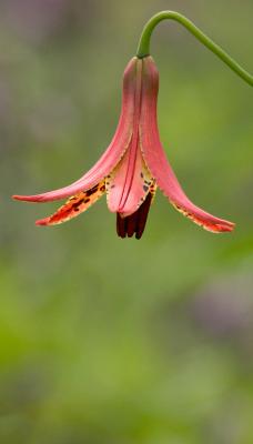 crw_5555.jpg