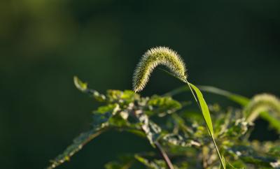 CRW_6338.jpg