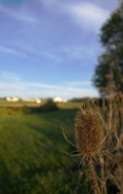 CRW_8967.jpg