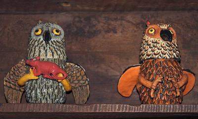 Ardmore Owls