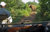 Roadblock