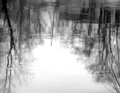 Cass Lake Icy Reflection