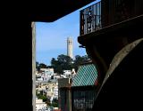 Coit Tower From SF Art Institute