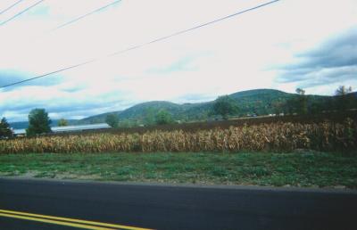 Cornfields and mountains