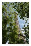 Eifel Tower - Paris