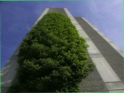 Stone Trellis