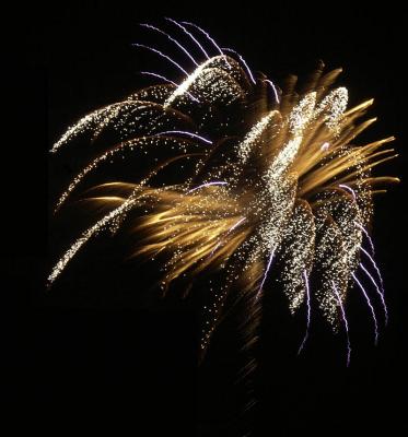 Fairy Dust.jpg