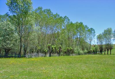 Country scene (Gerede)