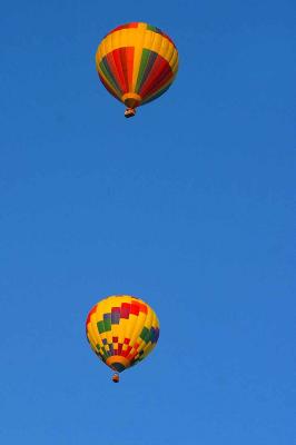 IMG_8784 ib.jpg