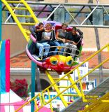 IMG_9065ib.jpg