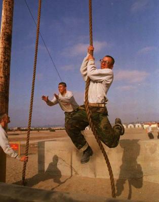 MCT11.jpg