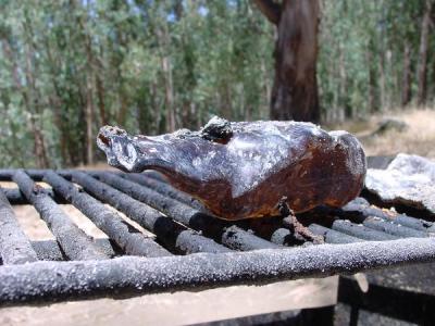 Camping trip June 11-13, 2004