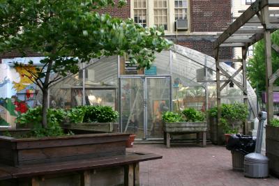 Greenhouse at the Right of the Entrance