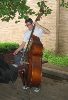 Bass Fiddler at Mercer Street Park