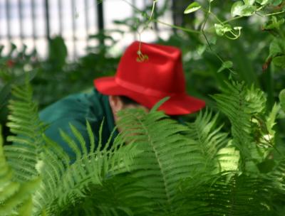 Gardening in a Red Hat