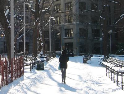 Morning after a January Snow  Storm