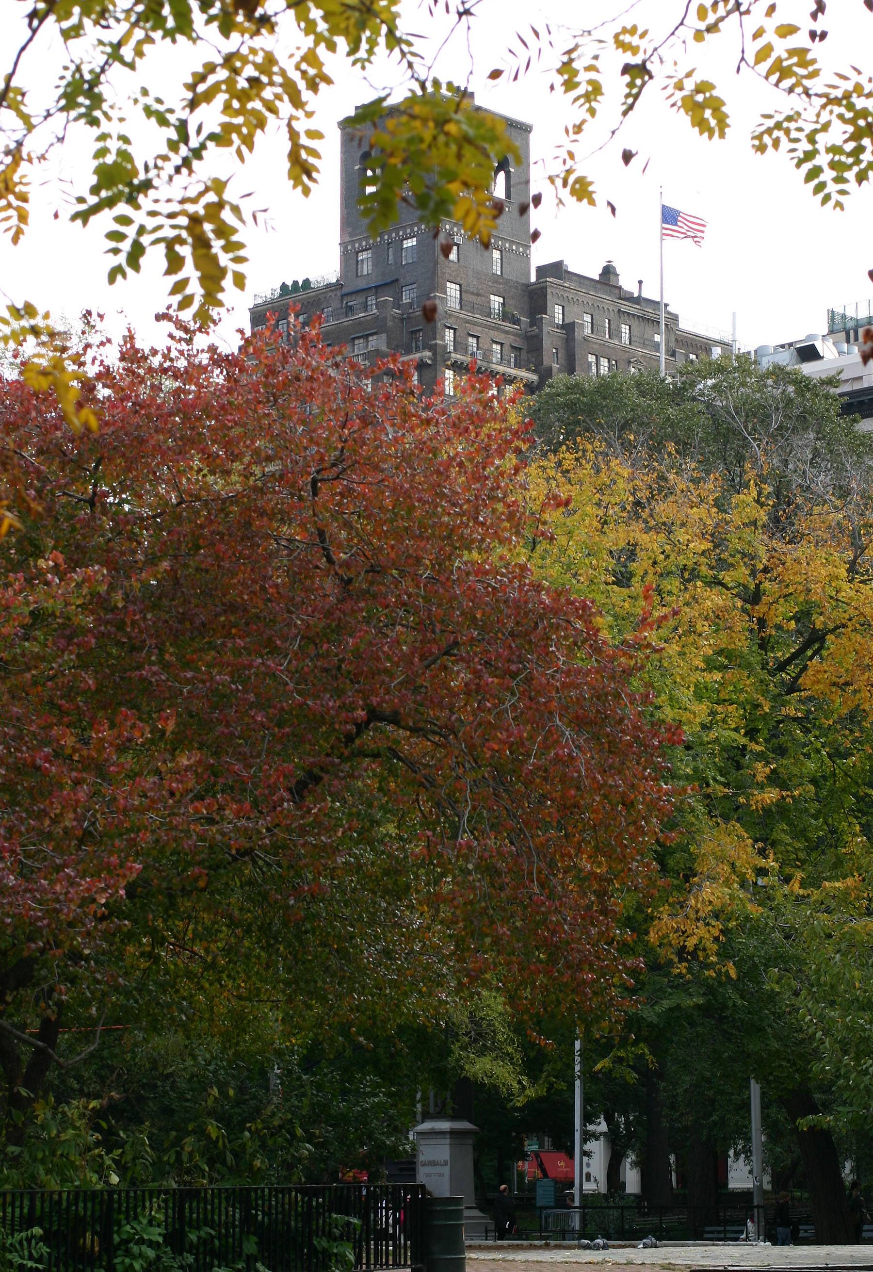 Foliage in the Park