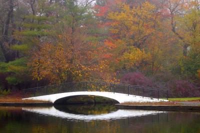 Fall Bridge