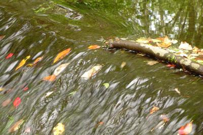 Cool Water