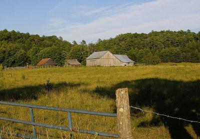 DSC_4502.jpg
