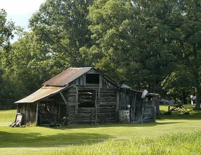 DSC_4650.jpg