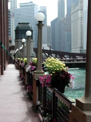 Flowers by the riverwalk